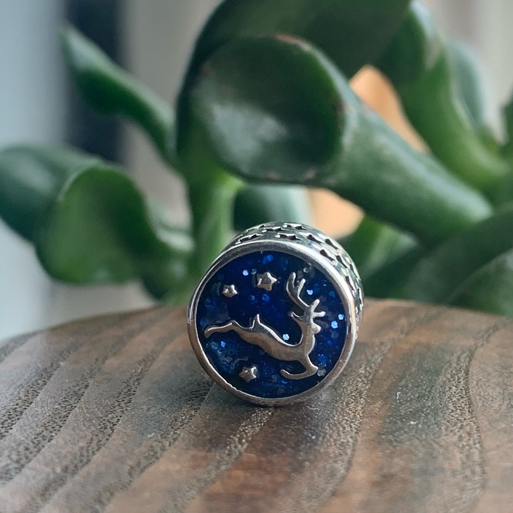 Brand new charm